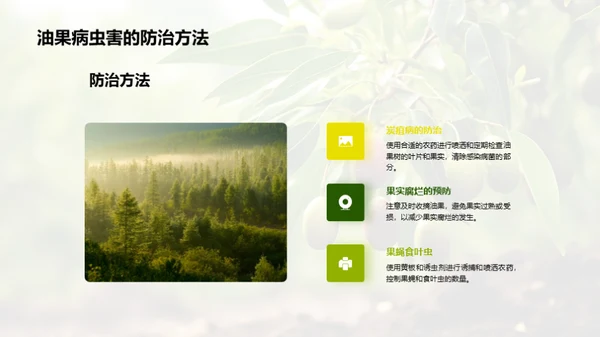 油果种植之全方位解析