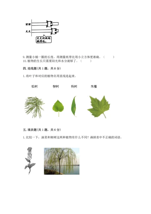 教科版小学一年级上册科学期末测试卷【必刷】.docx