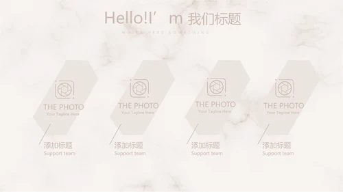 精美复古花纹古典风格工作总结动态PPT模板