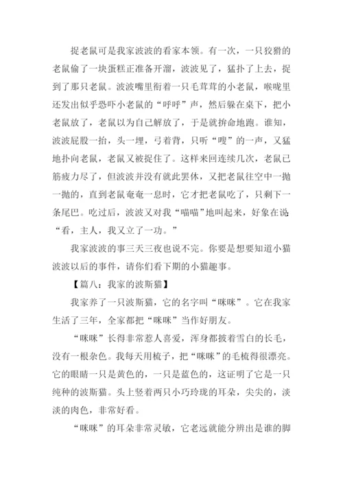 波丝猫作文0.docx