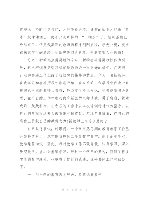 新教师上岗培训总结.docx