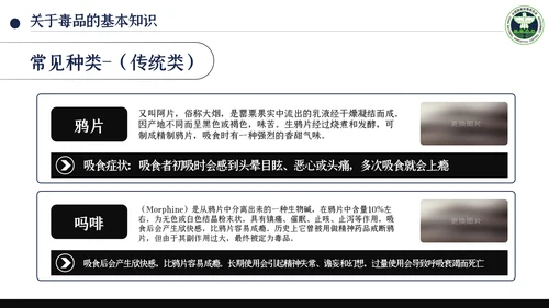 国际禁毒日珍爱生命远离禁毒教育知识PPT模板