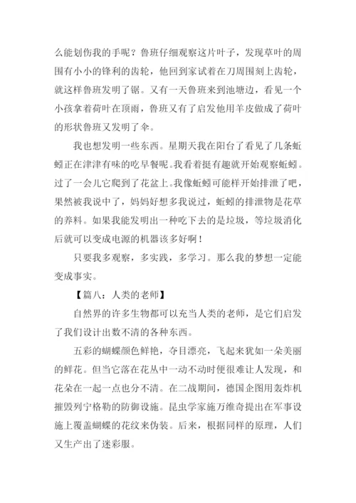 人类的老师作文300字.docx