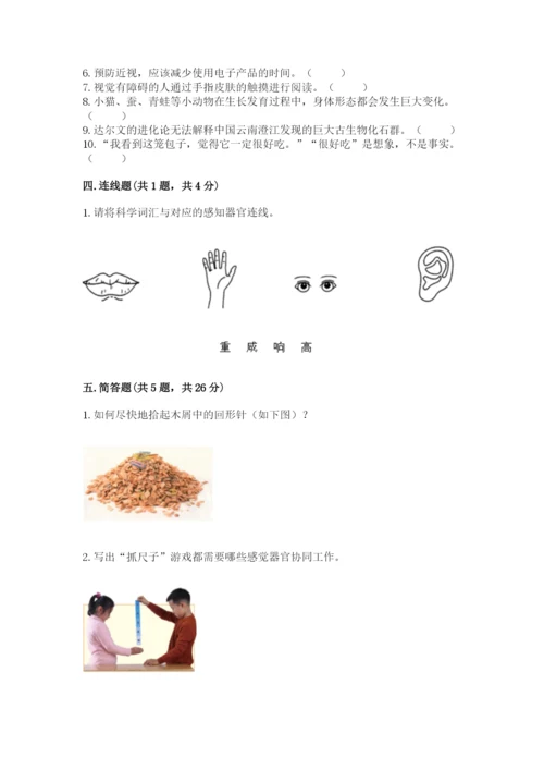 教科版小学科学二年级下册 期末测试卷及参考答案（轻巧夺冠）.docx