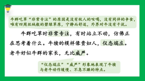 19 牧场之国 课件