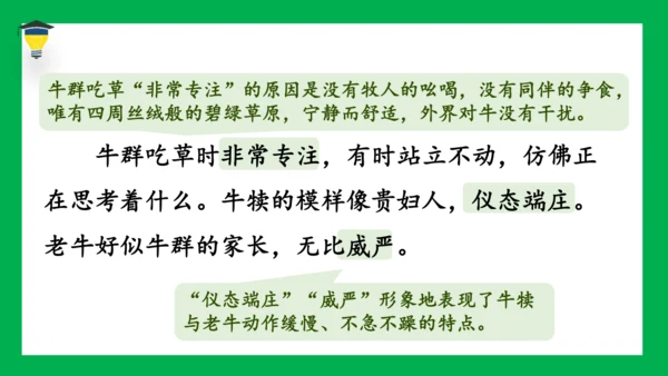 19 牧场之国 课件