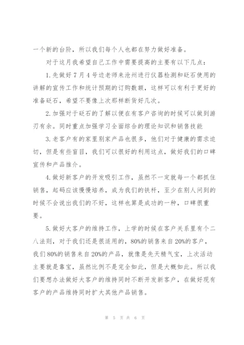 销售人员个人月度工作总结.docx