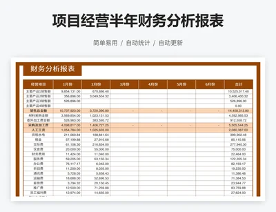 项目经营半年财务分析报表