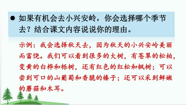 20.美丽的小兴安岭   课件
