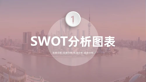 莫兰迪茶色商务SWOT分析培训PPT模板