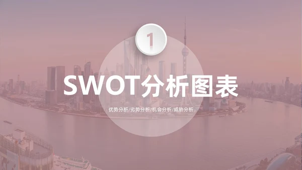 莫兰迪茶色商务SWOT分析培训PPT模板