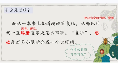 4昆虫备忘录   课件
