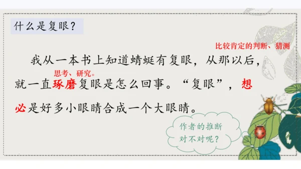 4昆虫备忘录   课件