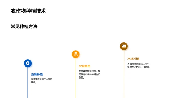 农作物种植技术分享