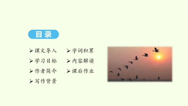 第7课 大雁归来 统编版语文八年级下册 同步精品课件
