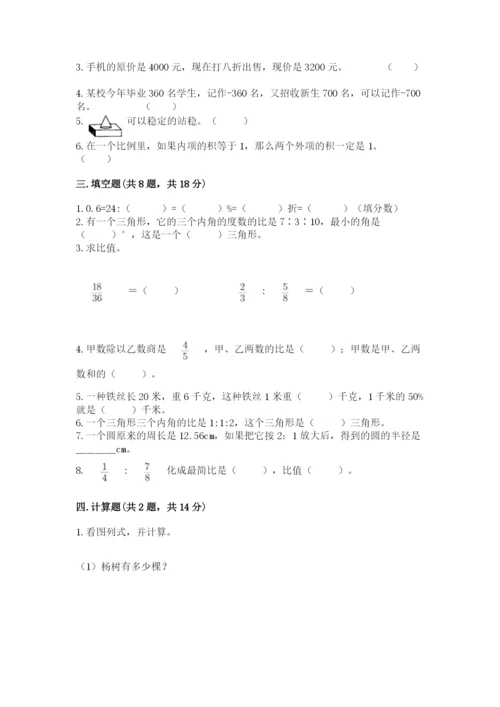 独山县六年级下册数学期末测试卷（必刷）.docx