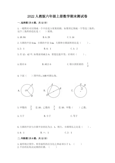2022人教版六年级上册数学期末测试卷（典优）word版.docx