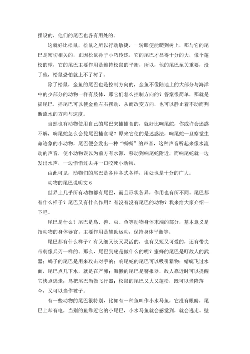 动物的尾巴说明文.docx