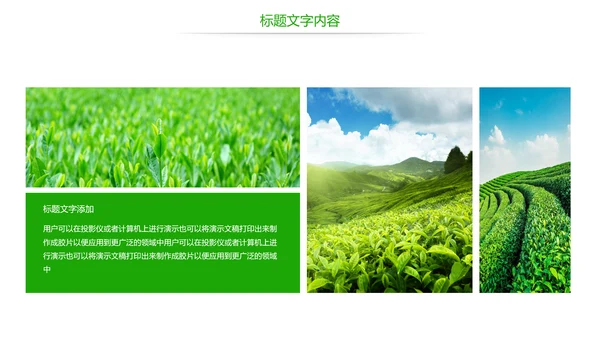 唯美绿色茶园文化茶艺品茶论道动态PPT模板