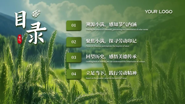 绿色简约创意中国传统二十四节气之小满课件PPT模板