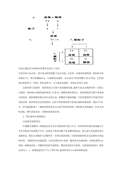 高中生物竞赛辅导：遗传学与进化.docx