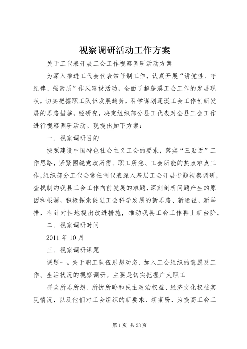 视察调研活动工作方案.docx
