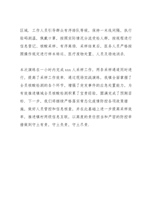 核酸检测工作总结经典优质范文三篇.docx