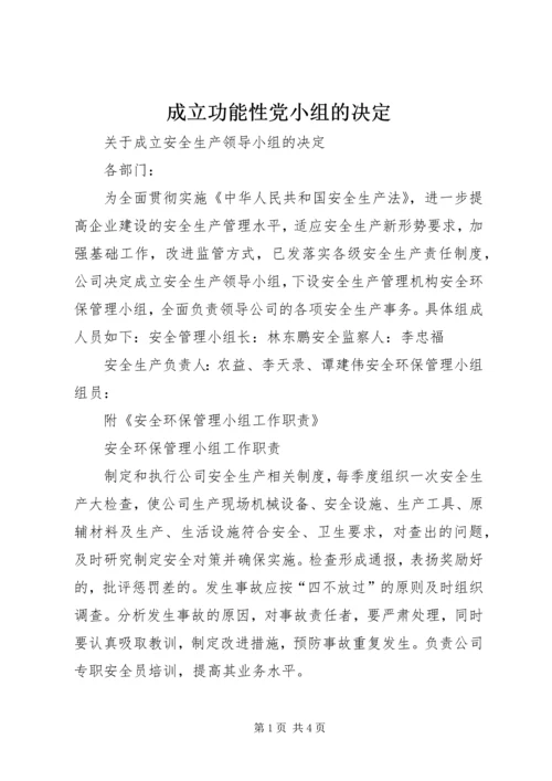 成立功能性党小组的决定 (3).docx