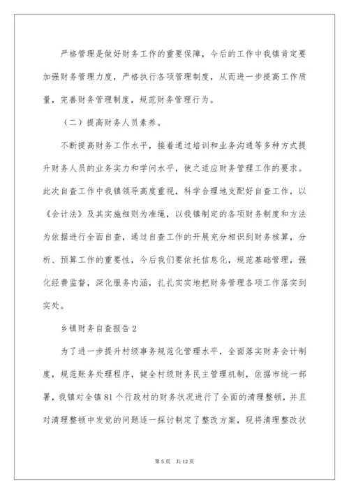 乡镇财务自查报告_3.docx