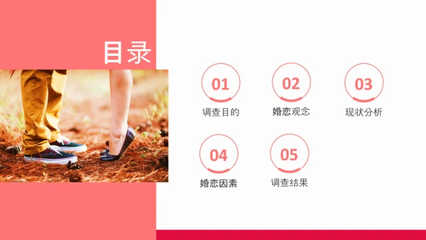 当代青年大学生婚恋意愿调查PPT模板