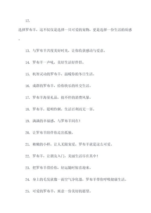 罗布羊宣传口号