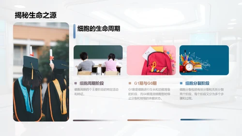 探索细胞之谜