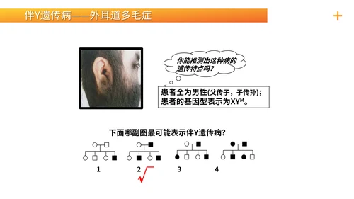 基因学伴性遗传初高中生物PPT课件