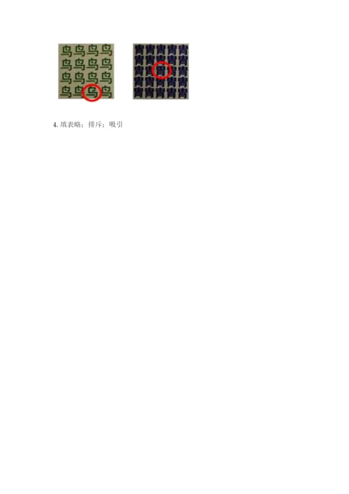教科版二年级下册科学知识点期末测试卷【全优】.docx