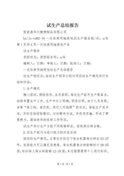 试生产总结报告.docx