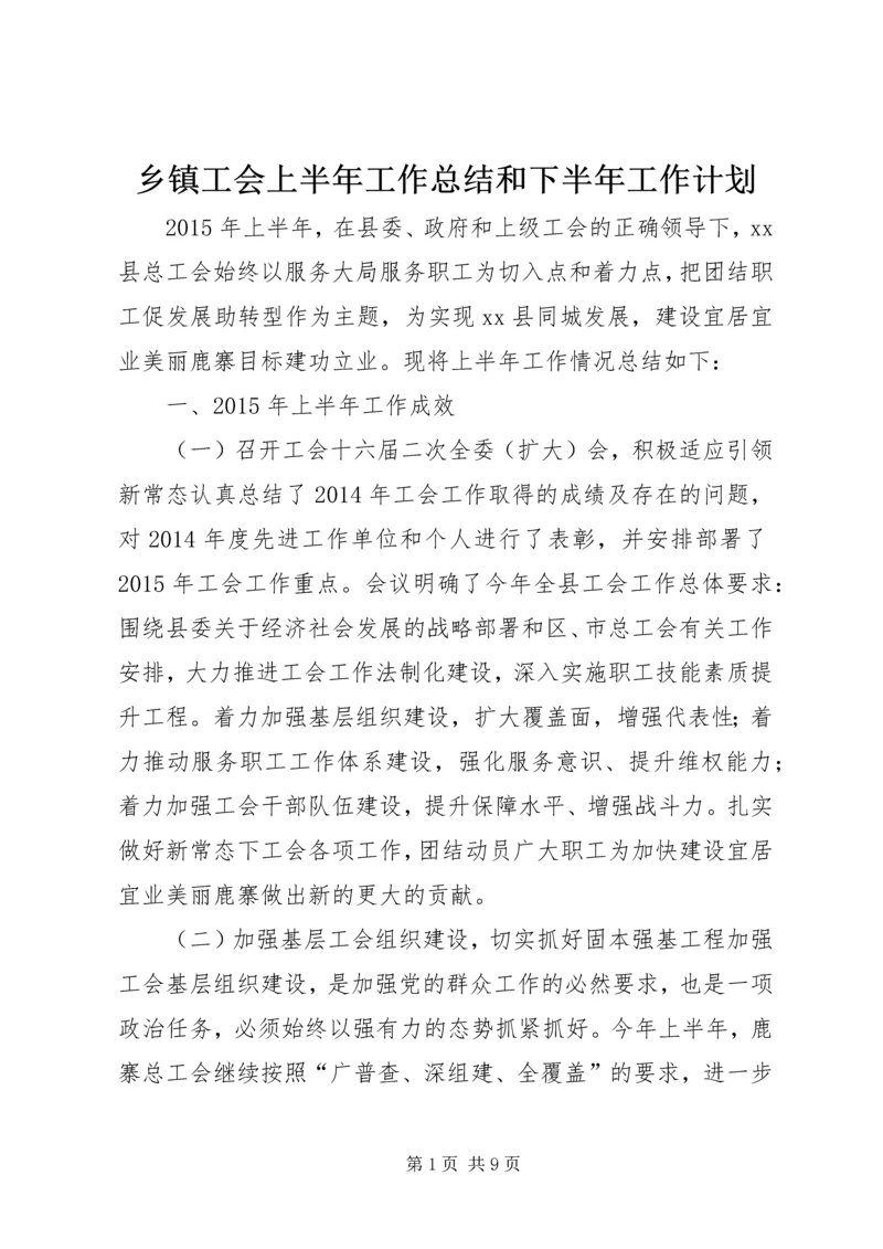 乡镇工会上半年工作总结和下半年工作计划.docx