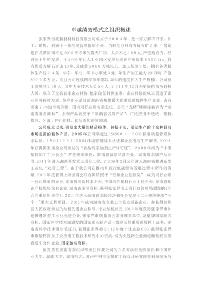 卓越绩效模式组织概述.docx