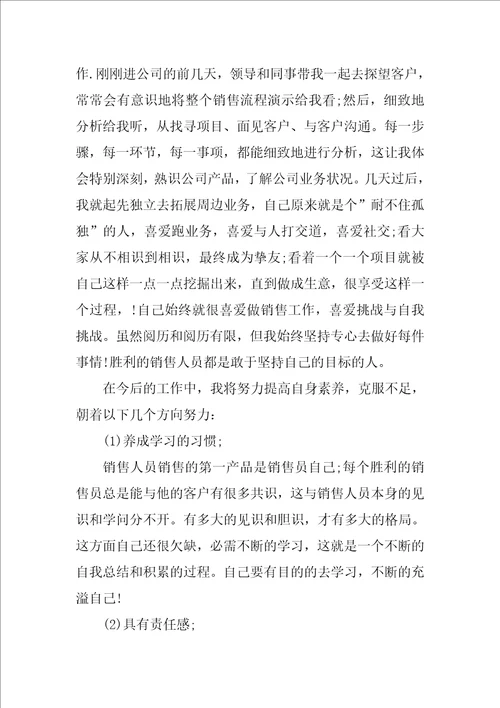 销售业务员月工作总结