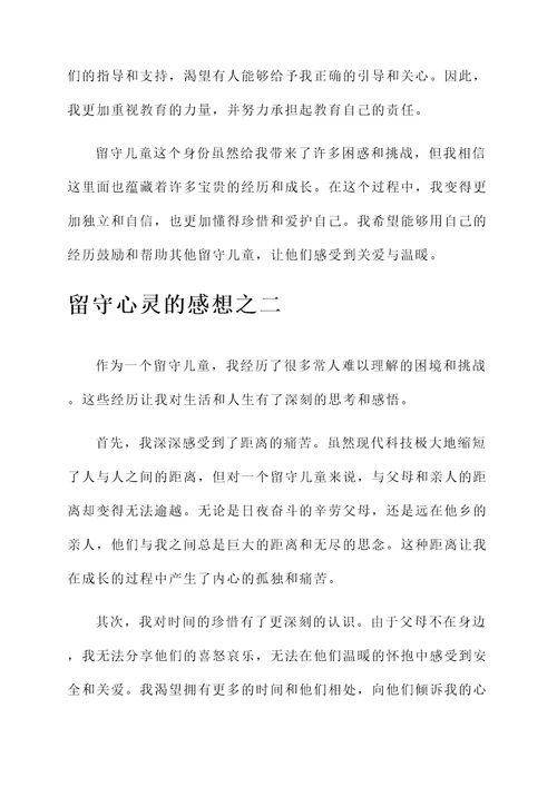 留守心灵的感想
