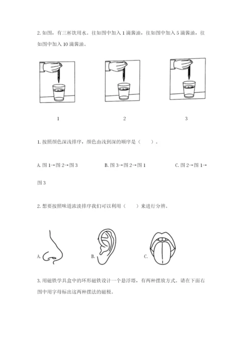 教科版小学科学二年级下册期末测试卷【典优】.docx