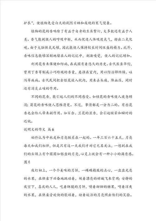 说明文的作文锦集十篇