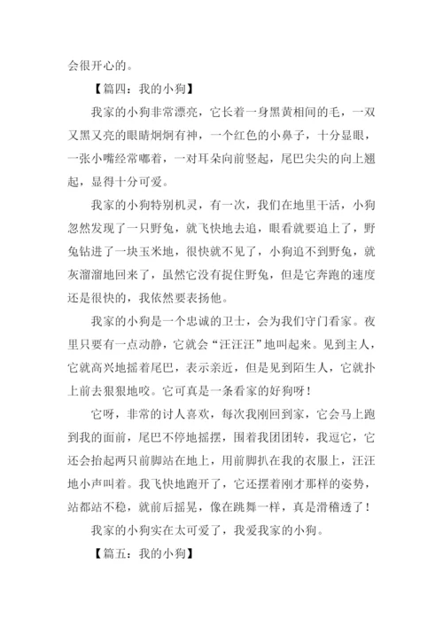 我的小狗作文450字.docx