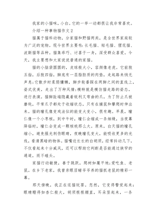 介绍一种事物猫五年级作文5篇.docx