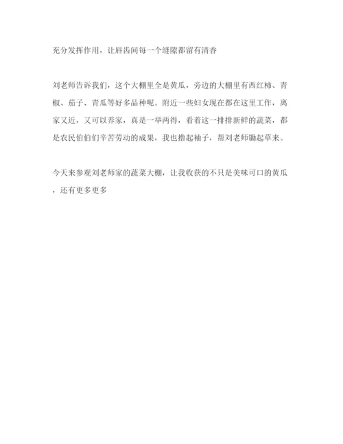 精编小学生假期社会实践活动心得感悟范本大全.docx