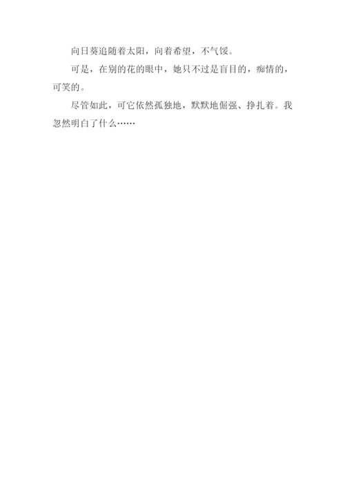 向日葵的失落作文500字.docx