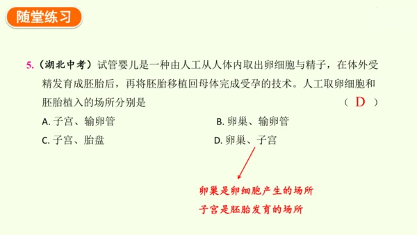 4.1.1人的生殖-七年级生物下学期同步精品课件（2024人教版）(共24张PPT)