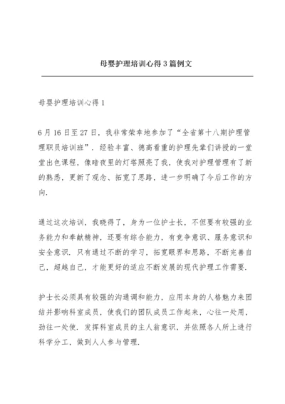 母婴护理培训心得3篇例文.docx