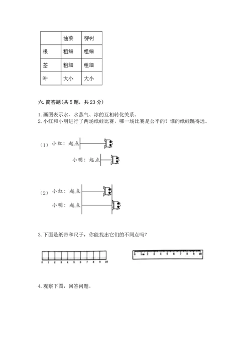 教科版小学一年级上册科学期末测试卷含完整答案（网校专用）.docx