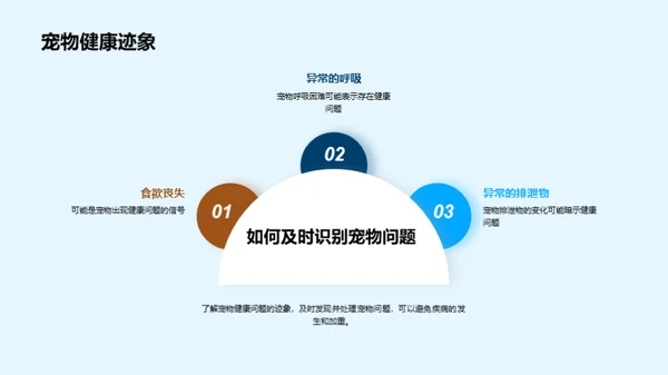 宠物养护实战指南