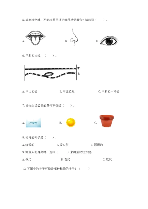 教科版一年级上册科学期末测试卷精品【典型题】.docx